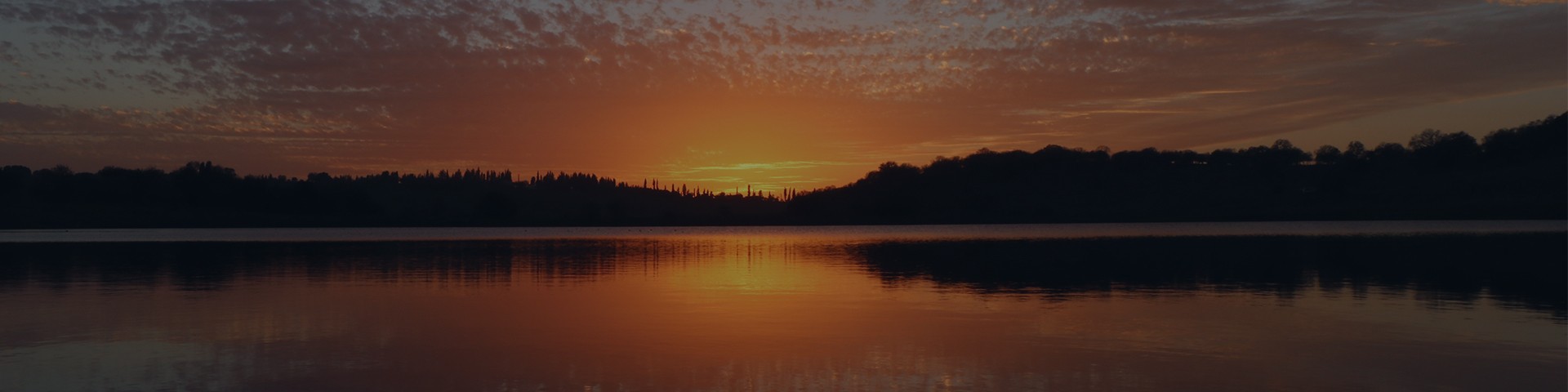 Lake Palestine Photo